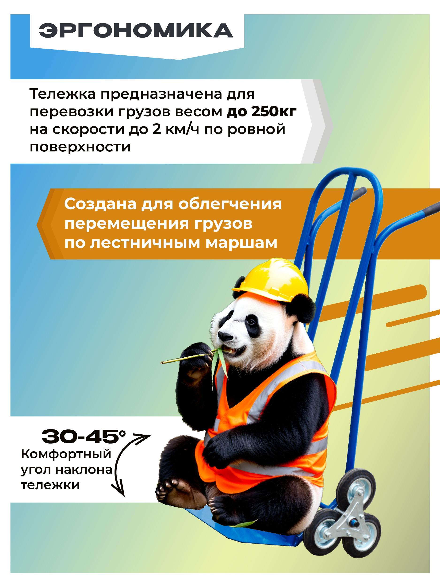 /upload/iblock/2c9/k0ya38zogryfzkmiulhy1qt1g4y750a0.jpg