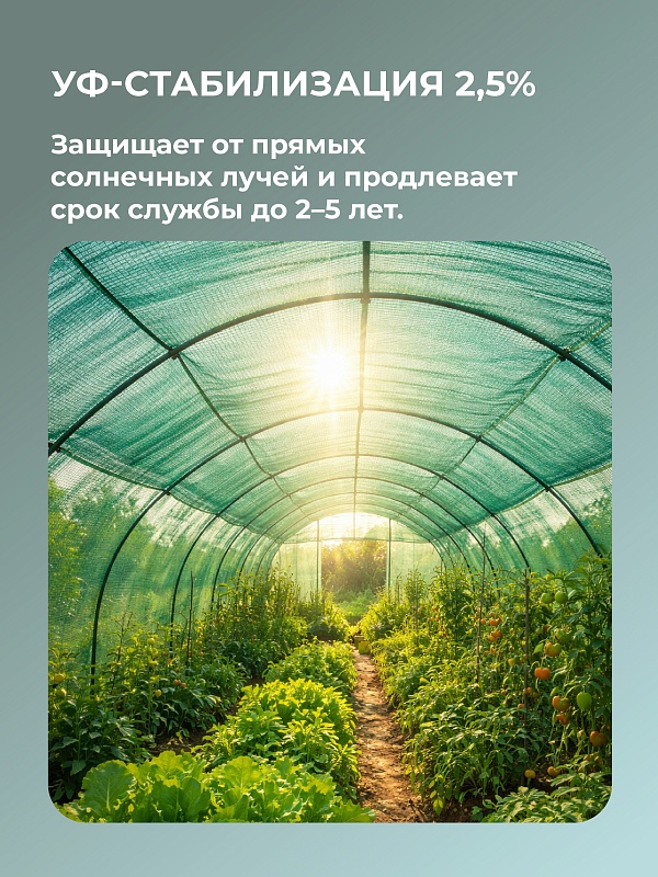 /upload/resize_cache/iblock/012/800_800_0/pos4dybw3o6m0ub5k5jdj3htf3ildvgi.jpg