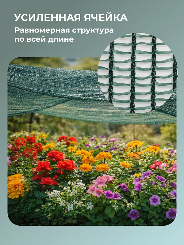 /upload/resize_cache/iblock/b85/800_800_0/hx4tonp6x9rcn2ua7wwi15rsg5i2g3ob.jpg